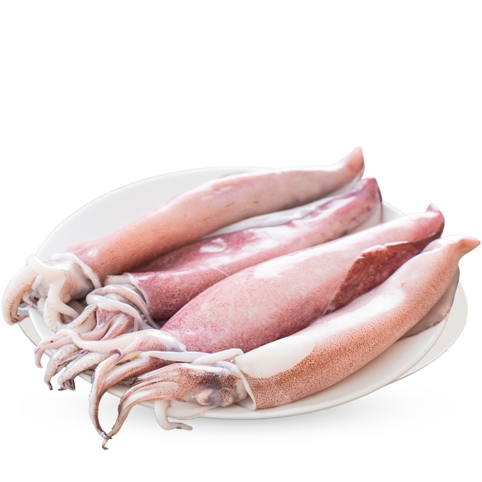 Squid